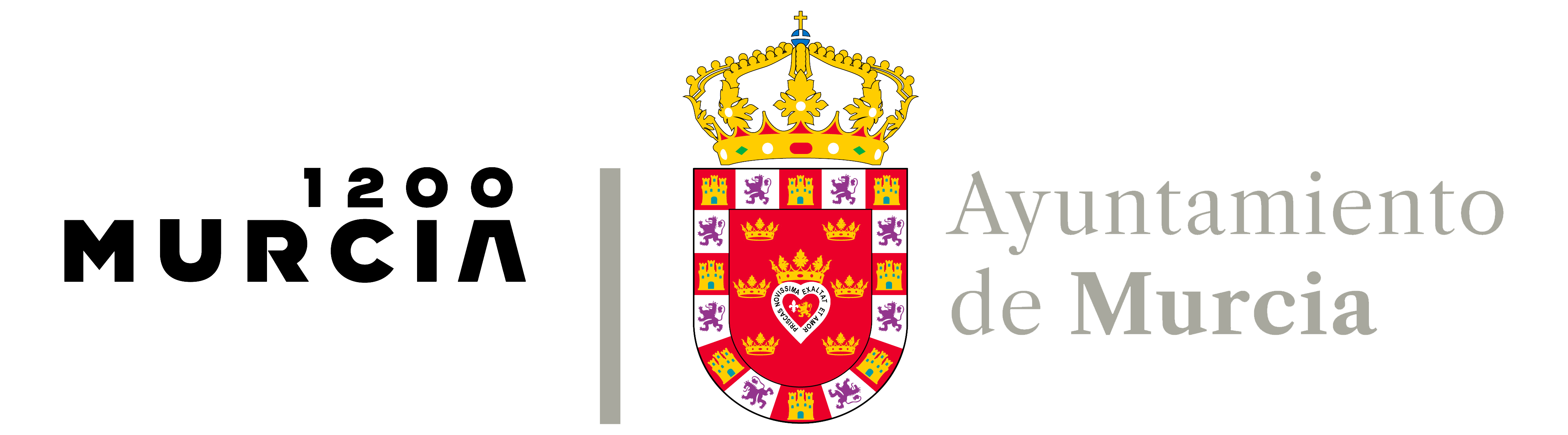 Ayuntamiento de Murcia