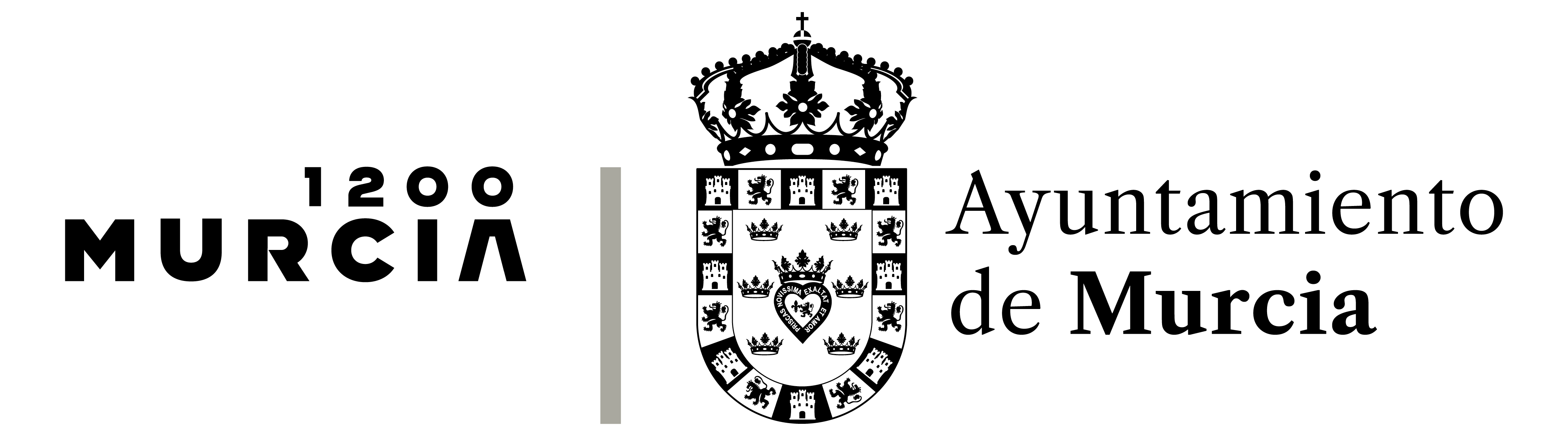 Ayuntamiento de Murcia